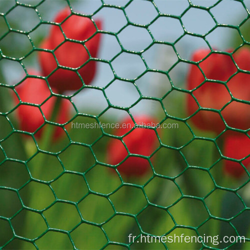 Mesh grillé hexagonal pour nourrir les poulets